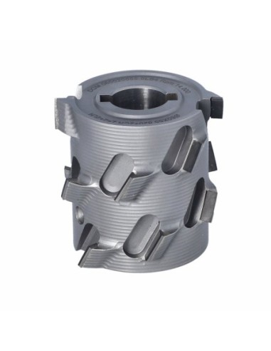 DGM Głowica DIA D60 l55 F20+2CH LNZ2+2 (14)...