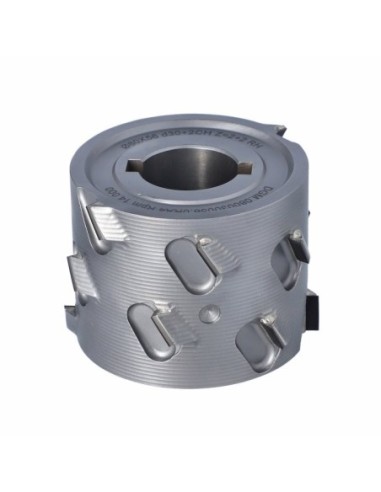 DGM.Głowica D80 I56 d30+2CH LNZ2+2 (14) H4,5 RH...