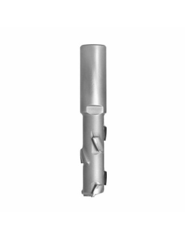 FrezDIA Z1+1 D20 I 52 L113 S20x50 RH  6PCD+1HM H2,5 2spirale korpus:STAL